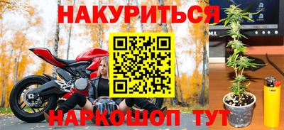 гашик Краснознаменск